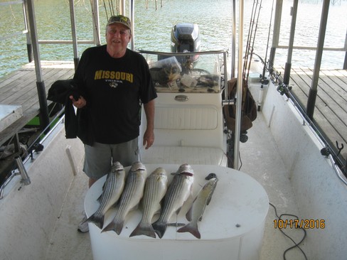 Nice Striped Bass